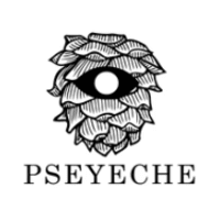 Pseyeche Coupon Code